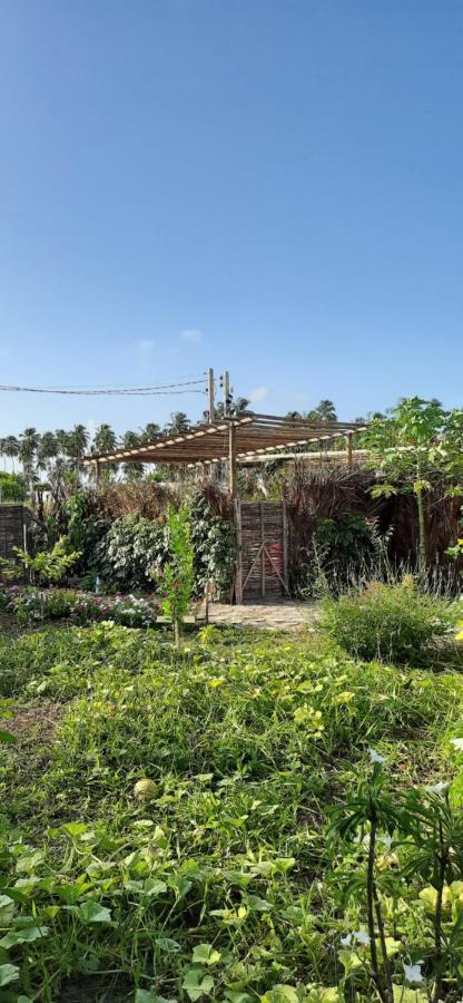 Eco Loft Maymuna: Seu Loft Ecologico Pertinho Da Praia Villa Porto de Pedras Luaran gambar